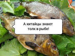 ������� ��������� �����: ������ ������ � ������� ������� ������ ����?