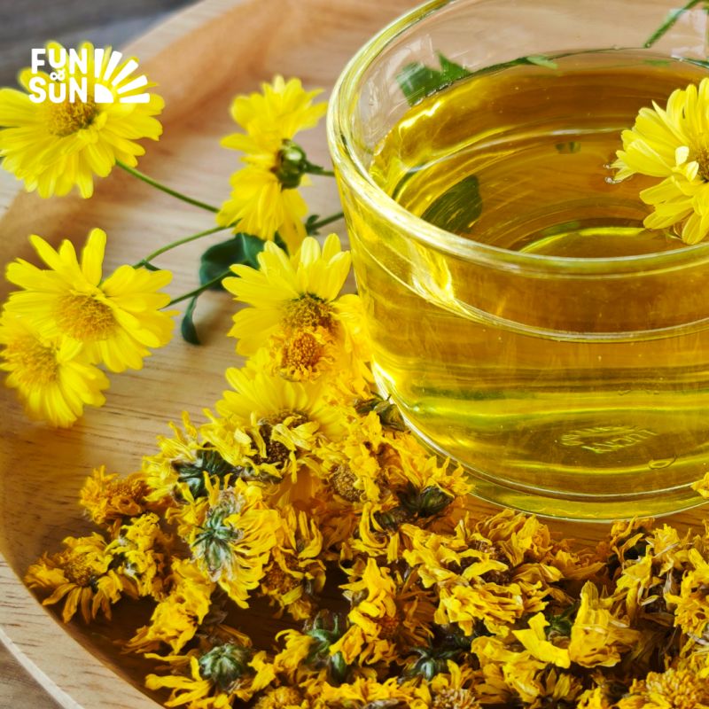 ������ ������� �������� � 2026 ����