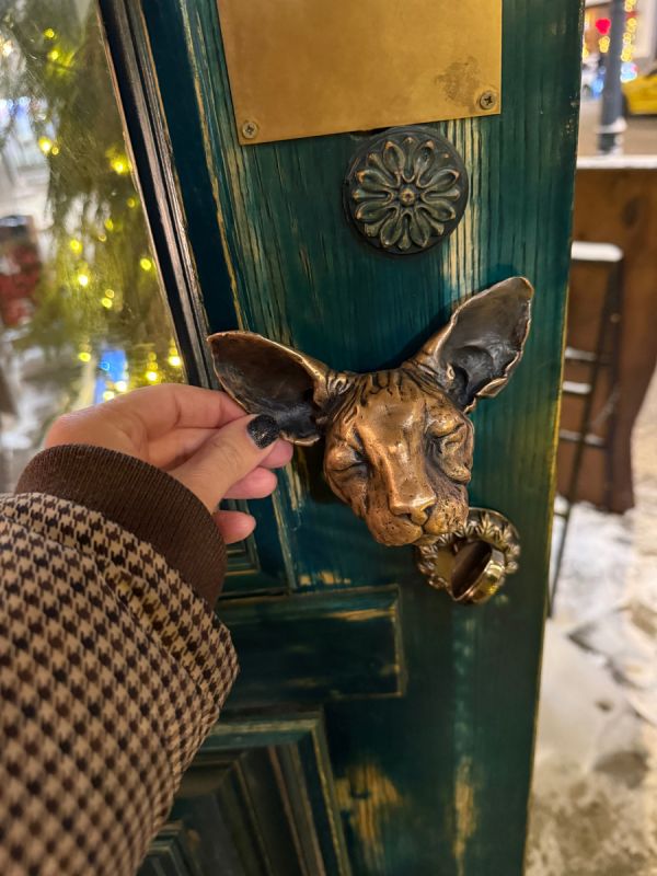 �������� � ����������: ����� ����������������� ��������� BreakFest