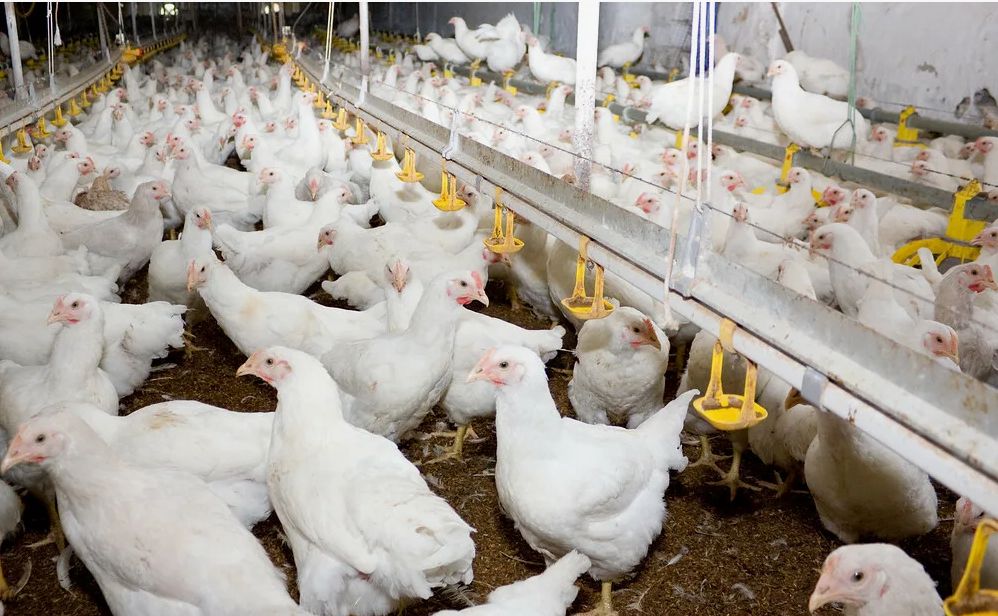 ���������� ������ � ���������� �����