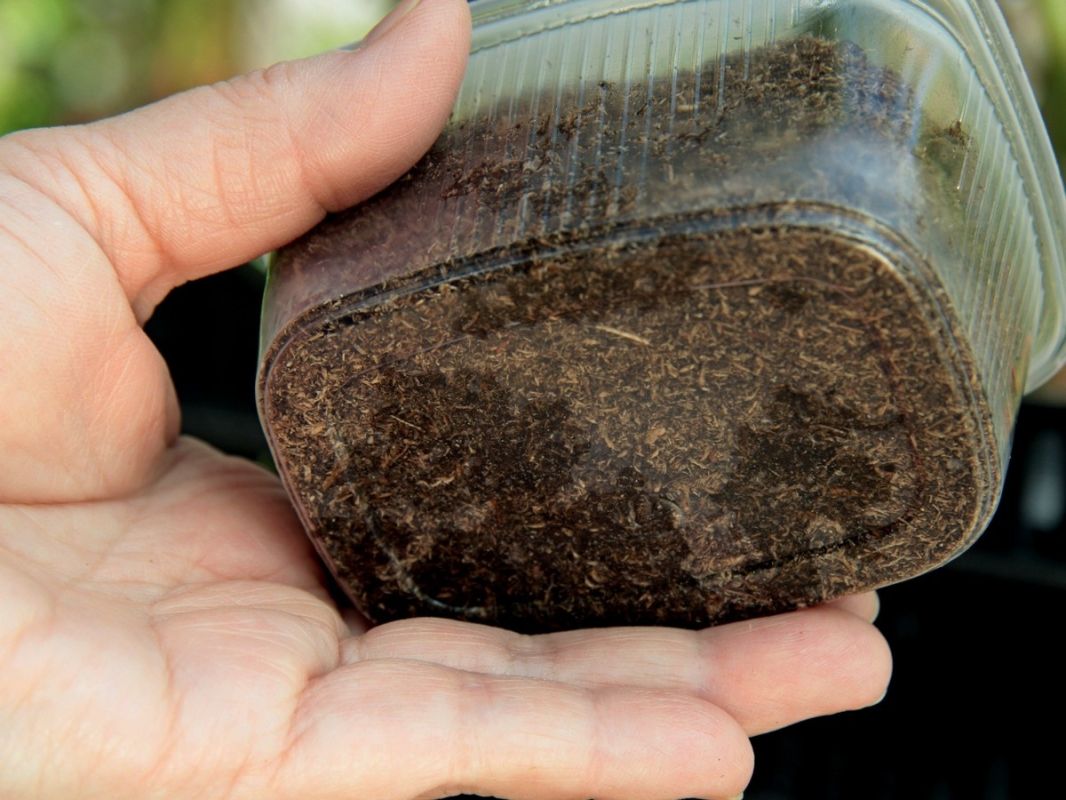 ����������� ������ � ����������: ������� ������ ��� ���������