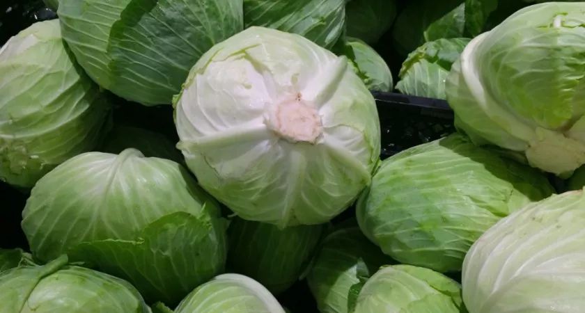 ��� ��������� ������� � ����������� �������: ������ ������ ��� ����������� ��������