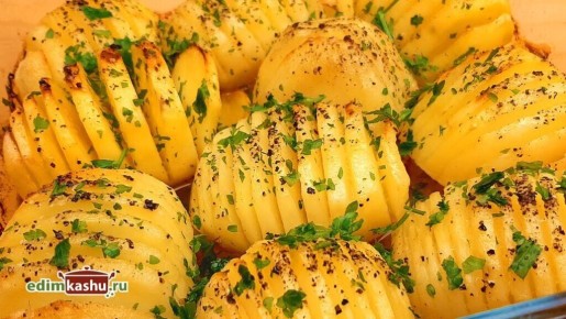 ������ ��������� � �������: ��� ������� ������ ������������ ��������