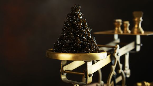 ������� ������ ����: �� �������� �������� �� ������� �������