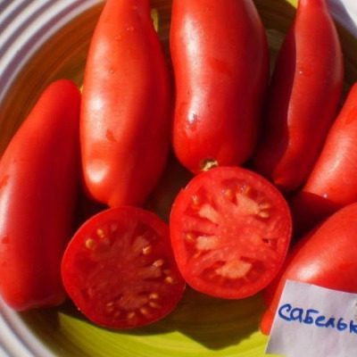 Томат Сабелька: спокойная история о вытянутых плодах и практичном урожае