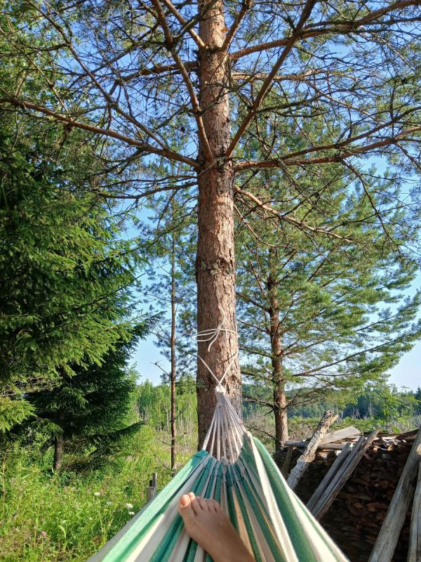 ��� ������� ������� �� �������, ���� ������ ���������