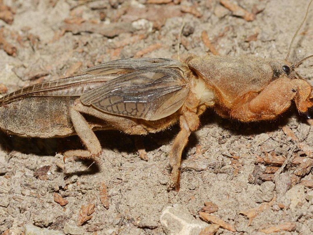 ��������: ������� ������ � ��������� ����������, ������� ���� ������