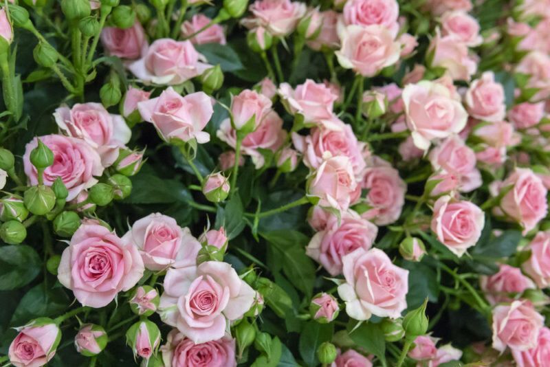 ������ ������� ������ � ���: ��������� ������� � ������ �� �����