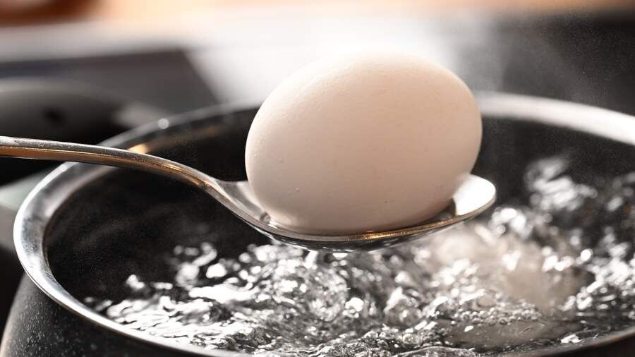 Как правильно варить яйца: всмятку, вкрутую и пашот