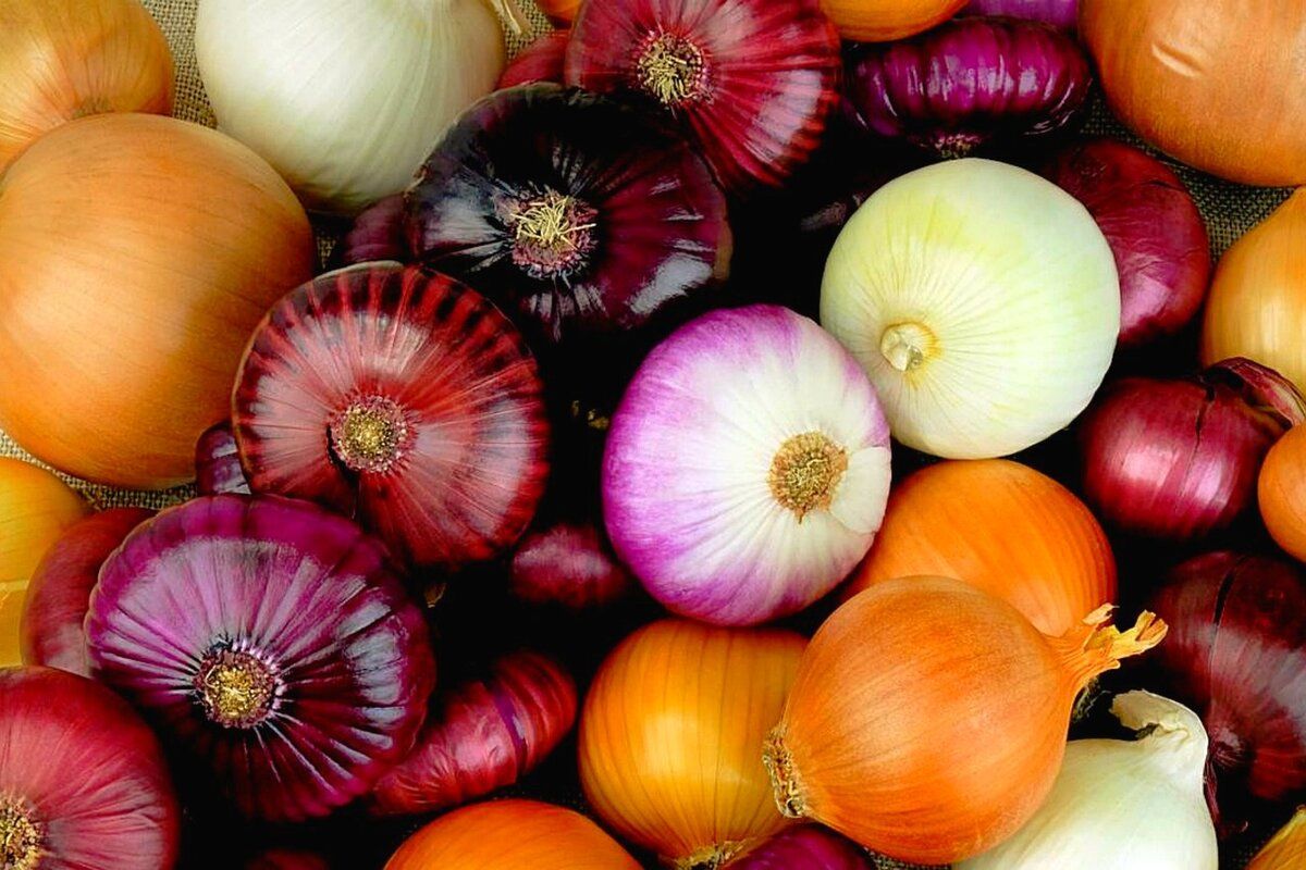 Луковые деликатесы: рецепты, от которых слюнки текут