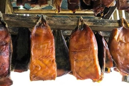 Мясо акулы: стоит ли попробовать экзотику?