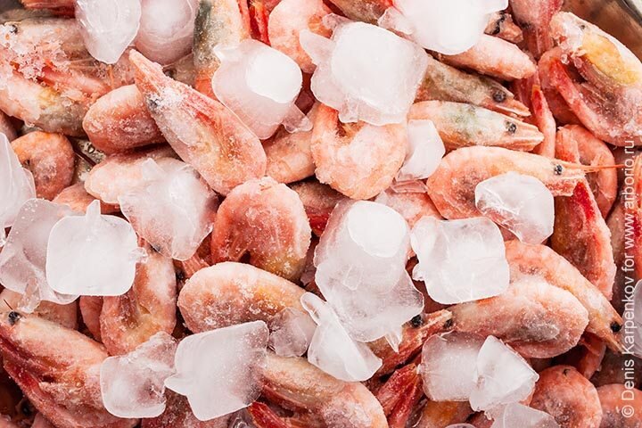 Удивительные факты о креветках, которые вы не знали