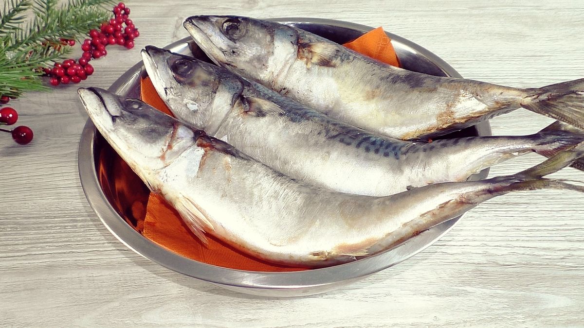 ��� ������ � ������ ������ ��������: ������� ������ �� ������ ����