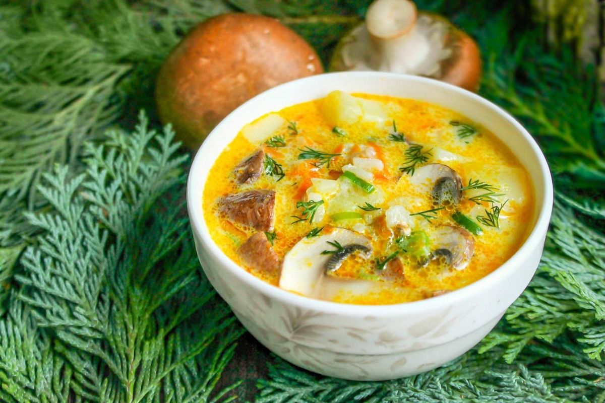 Сырный суп с плавленым сыром и грибами шампиньонами
