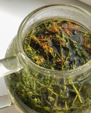 ��� ��������� �������� ������: ��� ������� ��������