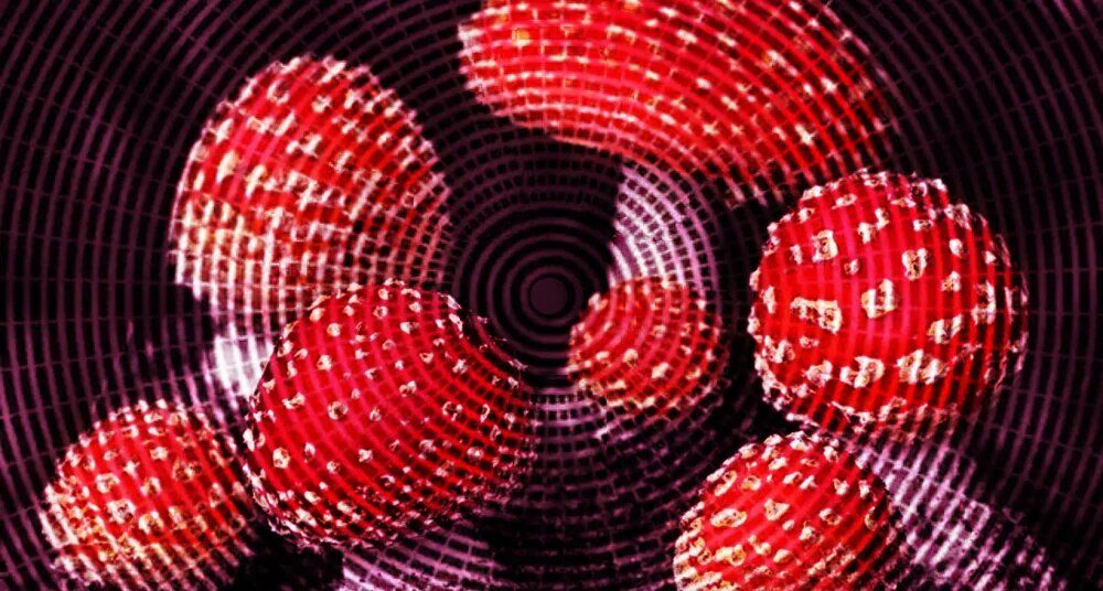 ������ ���� ����������� ����� ������ ��� ��������?