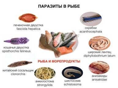 ��� ��������� �������� ����: ������ �� ������ � ����������