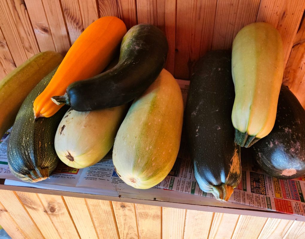 ������� �����: ��� ����������� �� �������� � �������