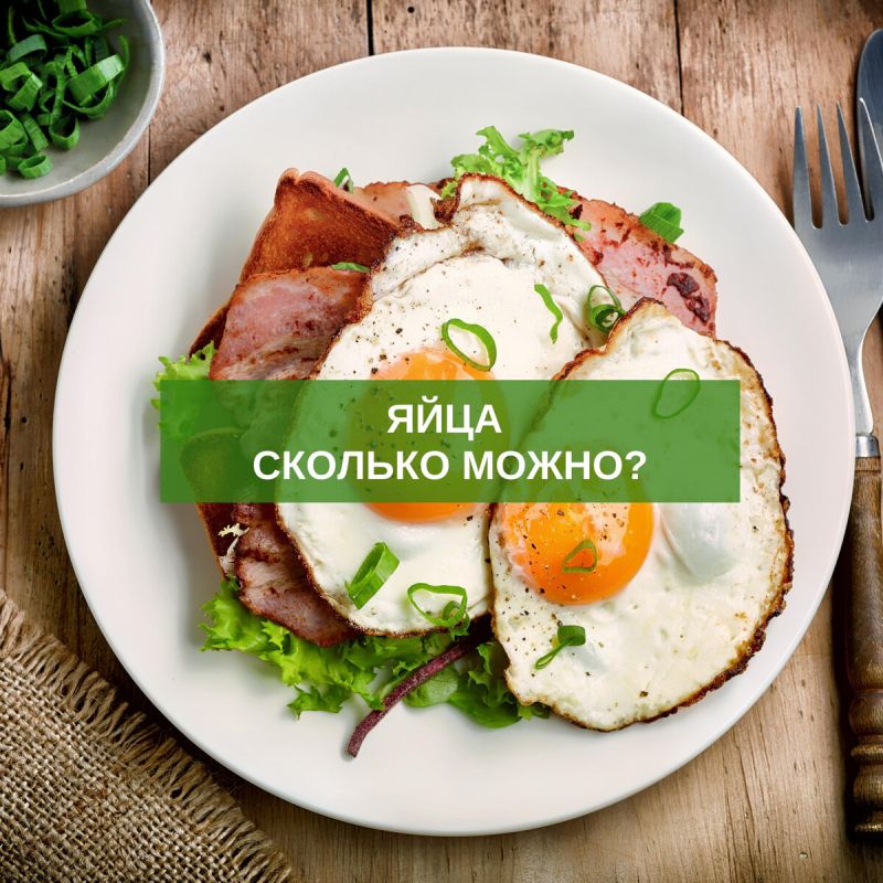 Яйца: сколько можно есть без ущерба для здоровья?