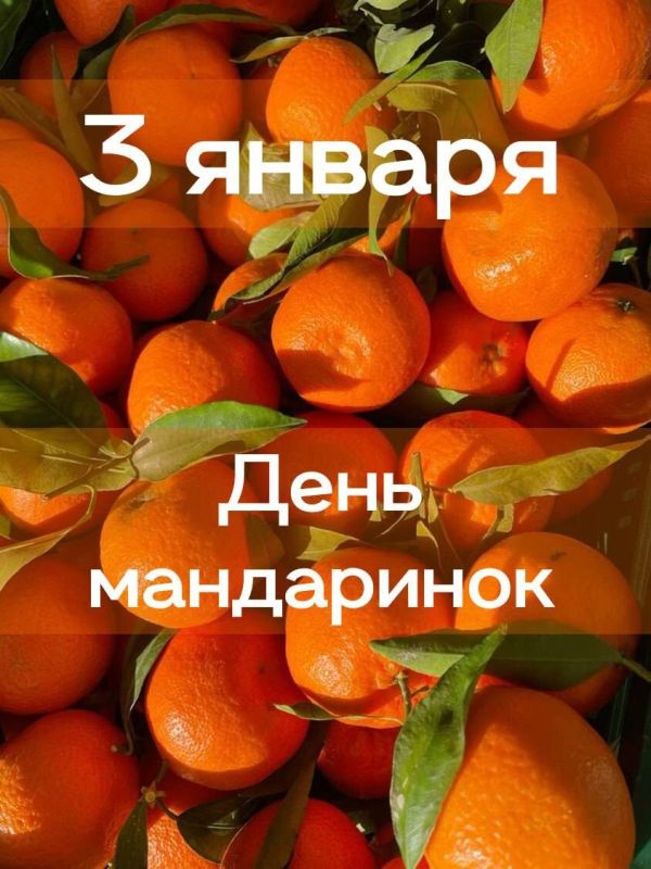 День мандаринов: как этот фрукт завоевал сердце зимних праздников
