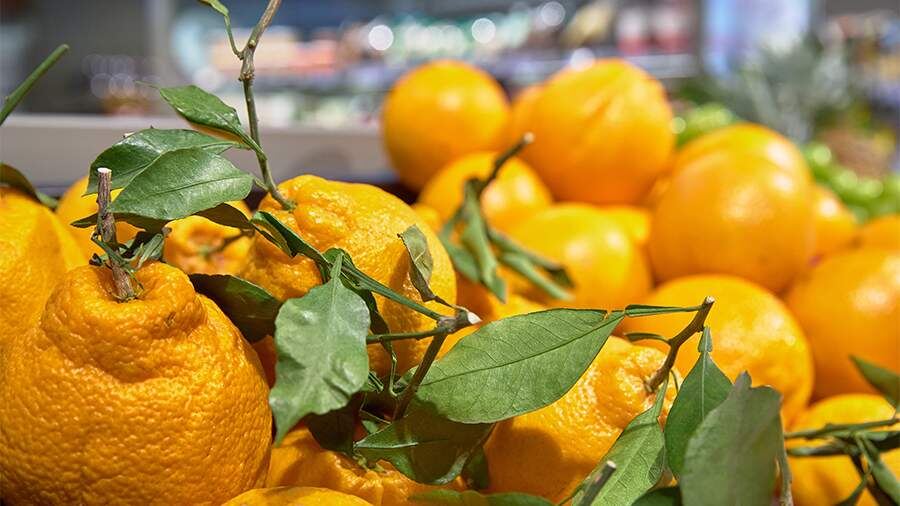 Секреты зимних фруктов: как поддержать иммунитет в холодное время года