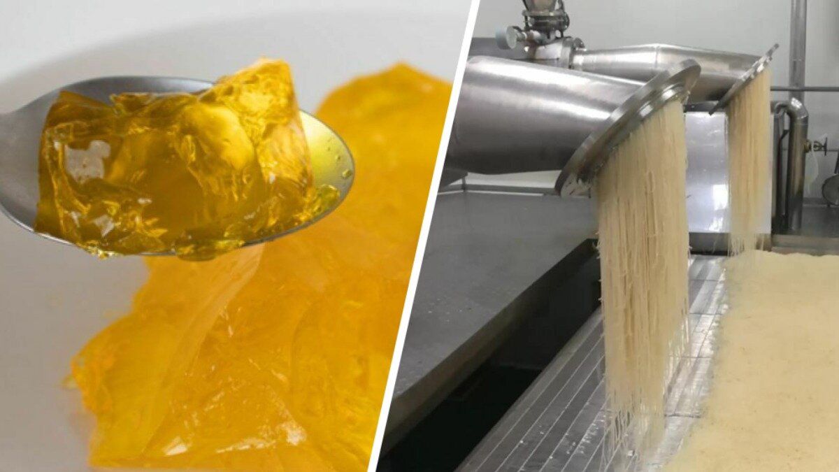 ����� ��������: ����������� ��������� ����� ������������ �����������