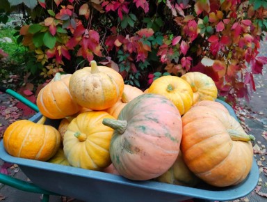 Меню на конец недели: еда без покупок