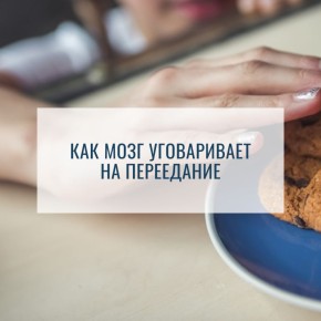 Как наш мозг подталкивает к перееданию