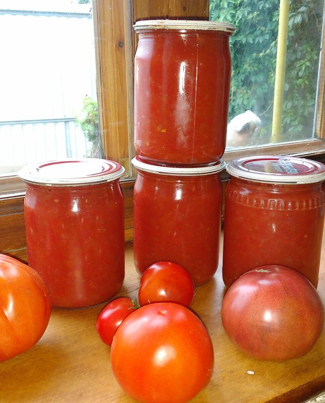 �������� ���� �� ����: ��� ������� ���������� ������