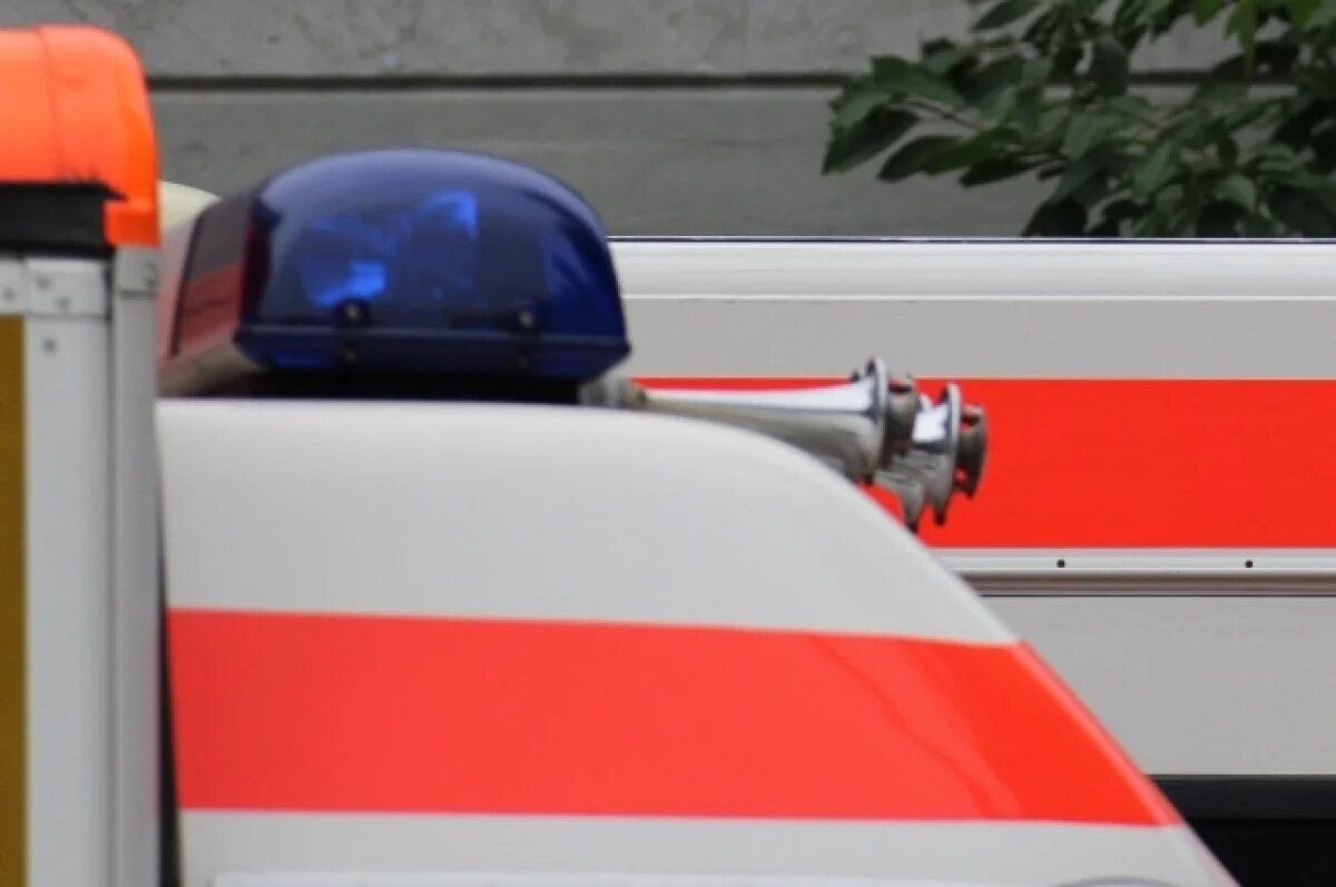 �������� �� �����: ������ ����� ������� �� ������� ������� �������� � �������