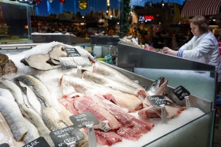 ������: ������� ����� �������� �������� ����