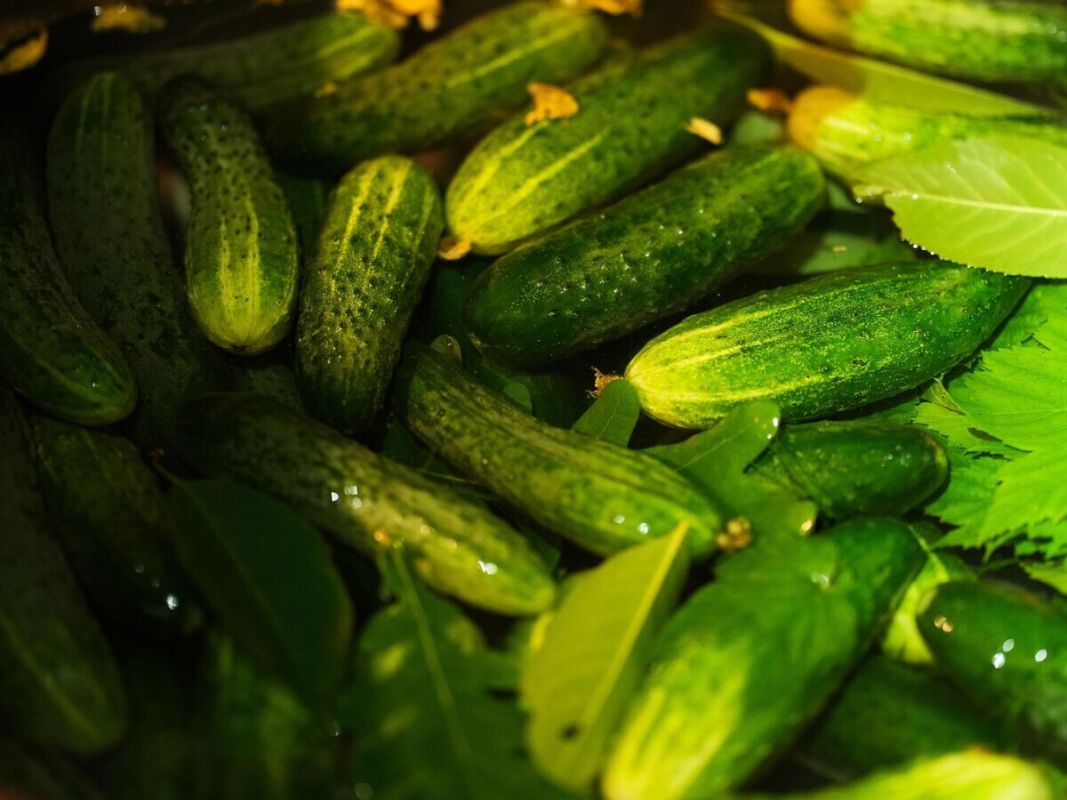 ����������� ������: �� ��������-������� �� ��������