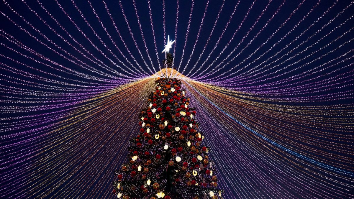 ��� �������� ������������� ���� ����� ���������� ����������