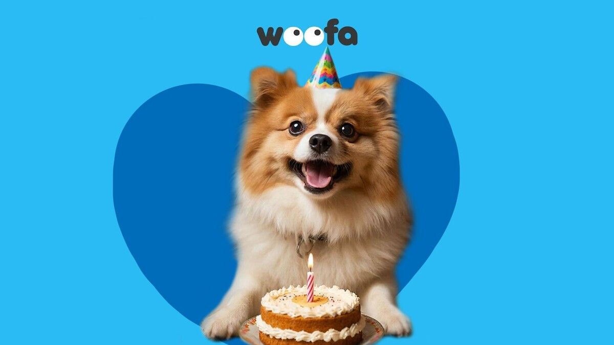 ����� ��� �����: ������������ ������� ��� ��������� ���������