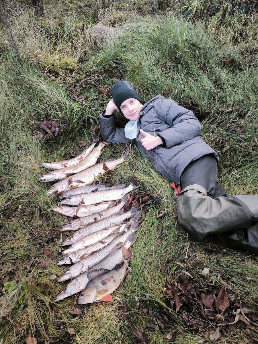 Котлеты в окуне: что скрывают заказы в 690 граммов?