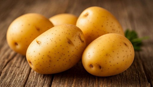 ��� ������� ��������� ���� ���������: ������ ���������