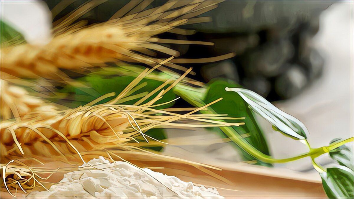 ������ ��������� ����: 5 �������� ����������� ��� ������ �����