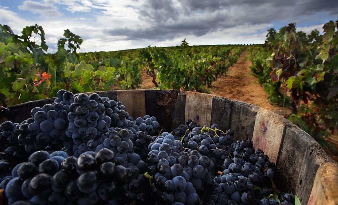 ��� ��������� �������� ������ ���������: ������ ������