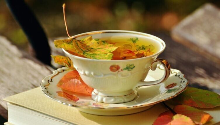 ��� ��� ����� �������� �����: ����� ����� � �������