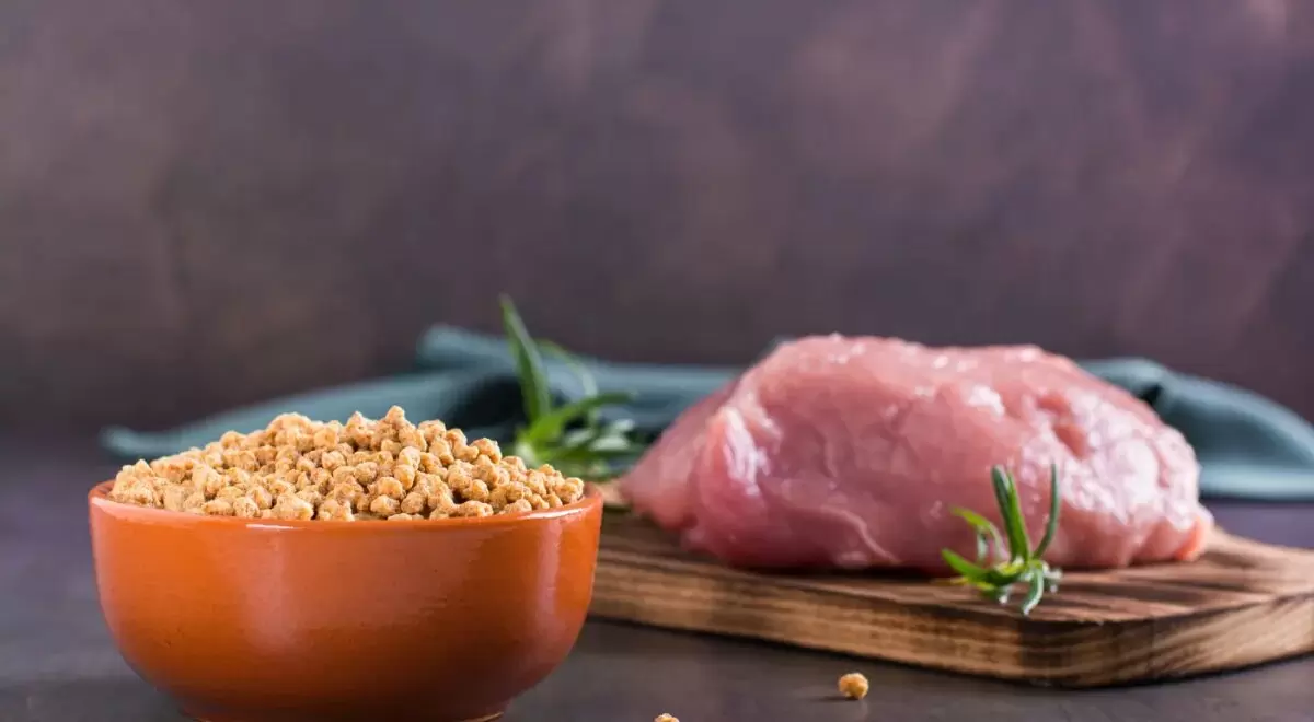 Какой белок действительно продлевает жизнь: результаты нового исследования