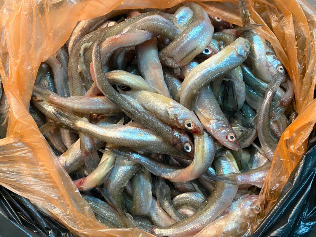 ��� ������ ������� �������� � ������� ����