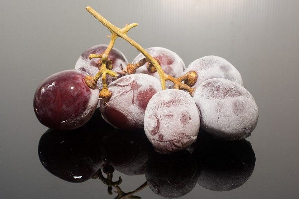 Как сухой лёд меняет винодельческий процесс