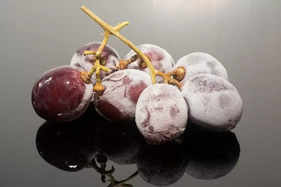 Как сухой лёд меняет винодельческий процесс