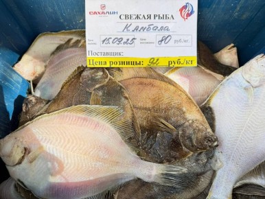 ������ ������� �� ��������������� ����: �� �������� ���� ����!