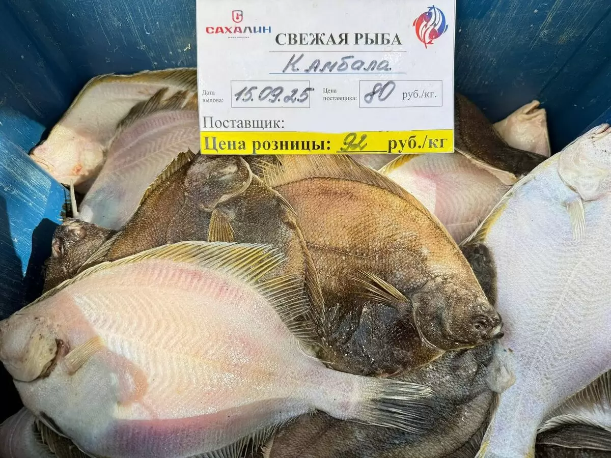 Свежая камбала по привлекательной цене: не упустите свой шанс!