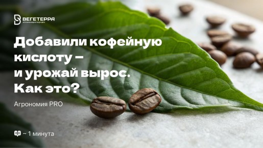 �������� ������� � ���������: ��� ��������� ���������� ������ ������� � ��������� ���������