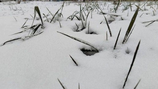 �������� � ����� �����: ���������� ��������� �����������, ��������� ������� ��-�� ������