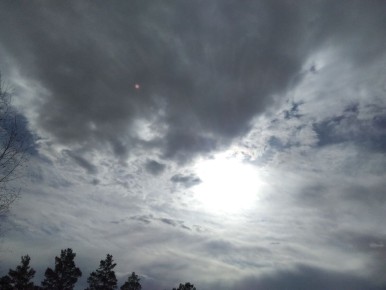 Из мелкой картошки в крахмал: обходите стереотипы!