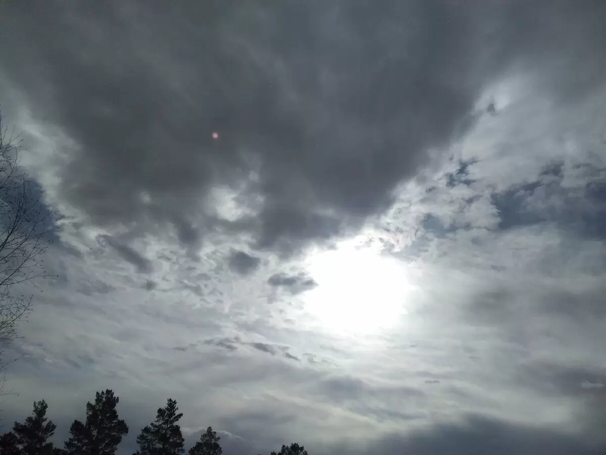 Из мелкой картошки в крахмал: обходите стереотипы!