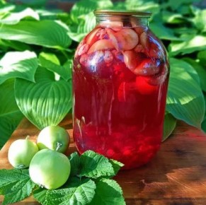 ��� ����������� ��������� �������-�������� ������ �� ����: ������� � ������